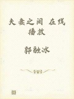 夫妻之间 在线播放